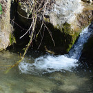 Natur 230320_46.JPG