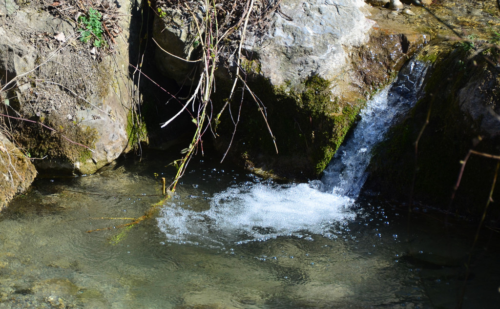 Natur 230320_46.JPG