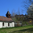 Natur 230320_48.JPG