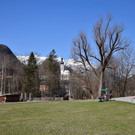 DSC_0794.jpg