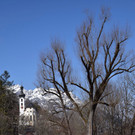 DSC_0806.jpg