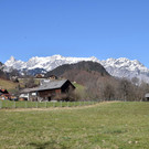 DSC_0232 _1_.jpg