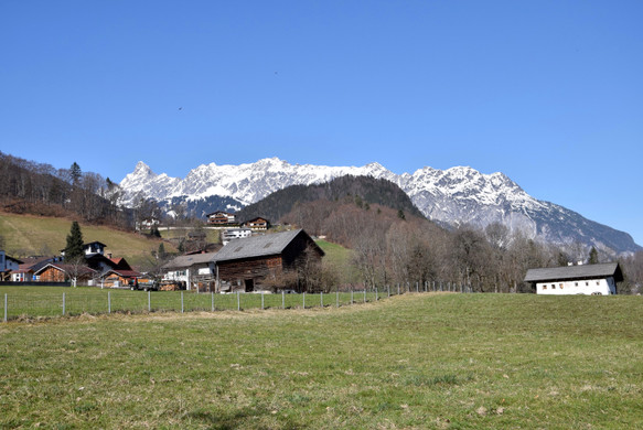 DSC_0232 _1_.jpg