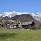 DSC_0241 _1_.jpg