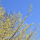 DSC_0248.jpg