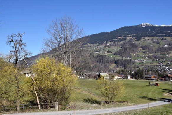 DSC_0267.jpg