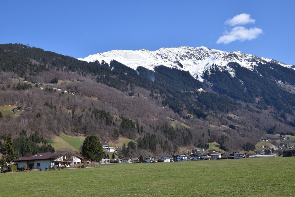DSC_0206.jpg