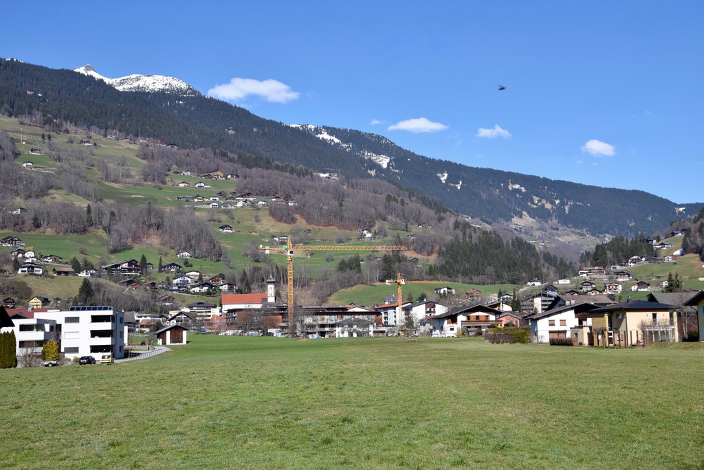 DSC_0201 _1_.jpg