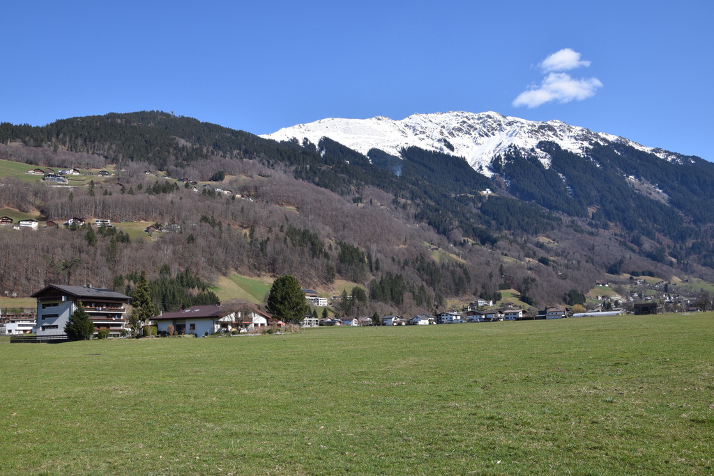 DSC_0207 _1_.jpg