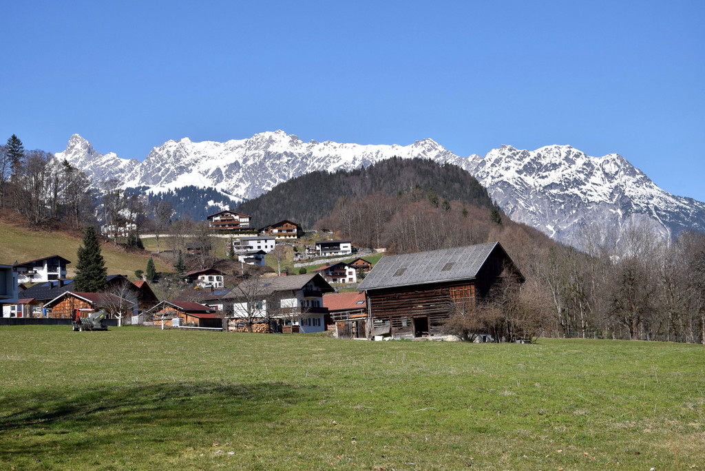 DSC_0241 _1_.jpg