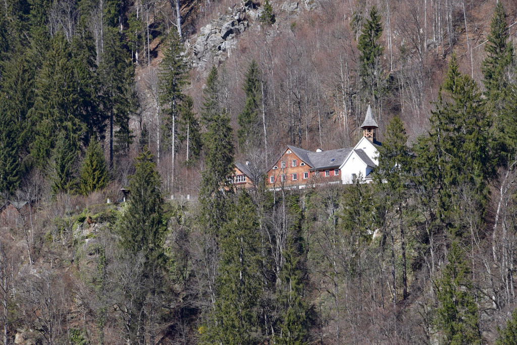 DSC_0337 _1_.jpg