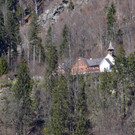 DSC_0337 _1_.jpg