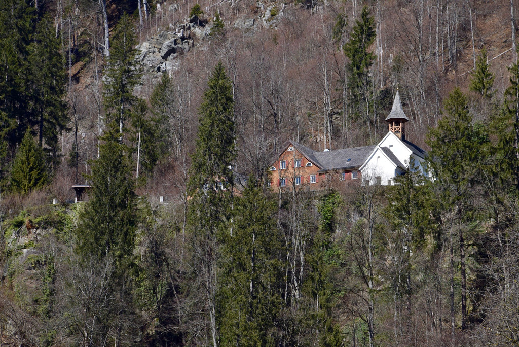 DSC_0340.jpg