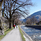 DSC_0887 _1_.jpg
