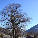 DSC_0899.jpg