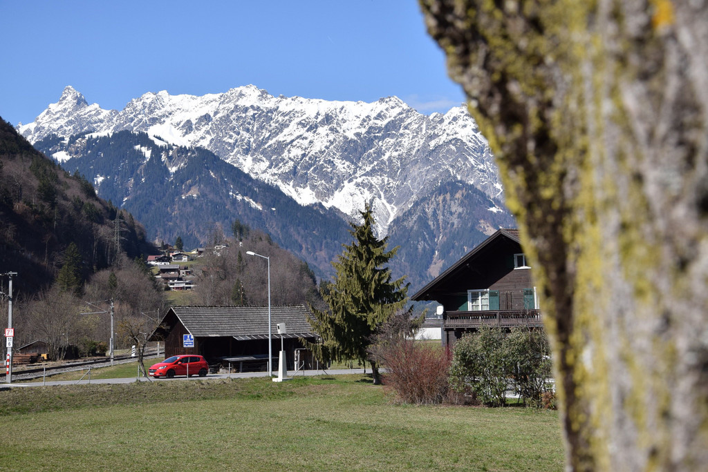 DSC_0912.jpg