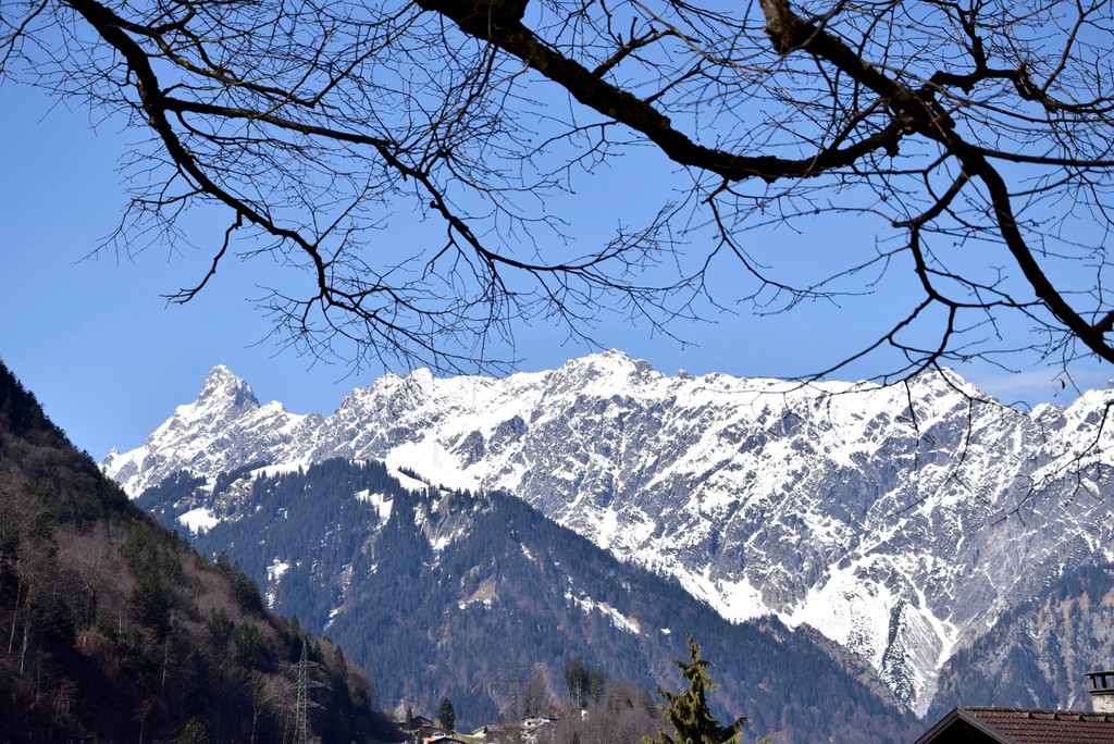 DSC_0913.jpg