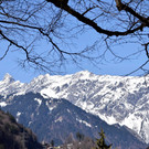 DSC_0913.jpg