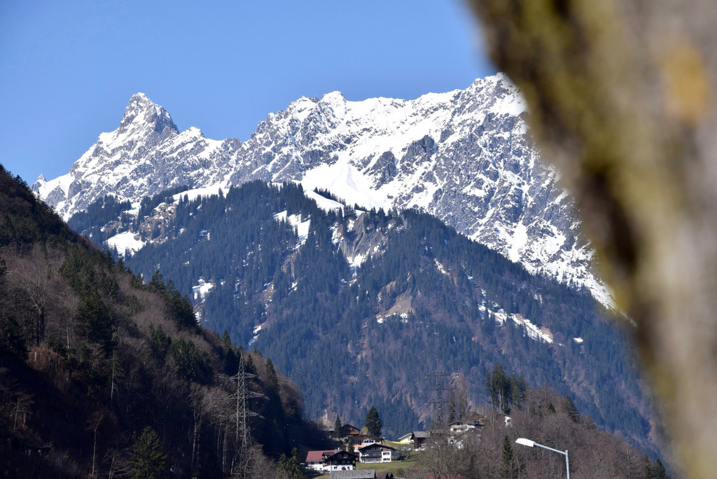 DSC_0918 _2_.jpg
