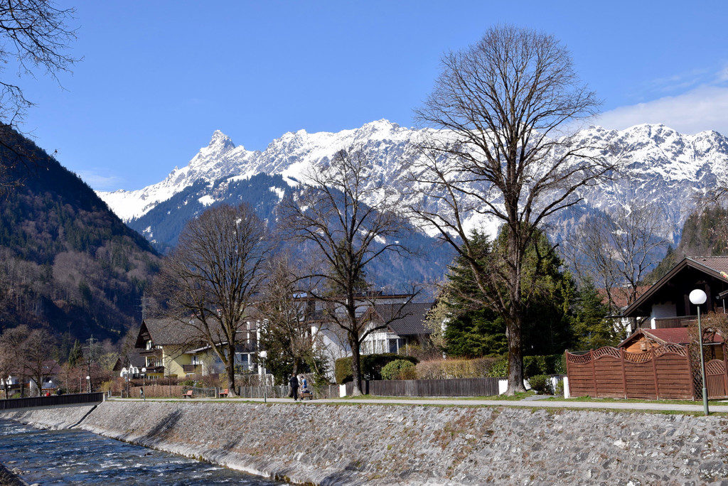 DSC_0952 _1_.jpg