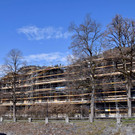 DSC_0960 _1_.jpg
