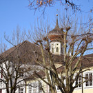 DSC_0429.jpg