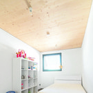 2_6_HausTheurlUEbersaxen_c_StefanHauer-29.jpg