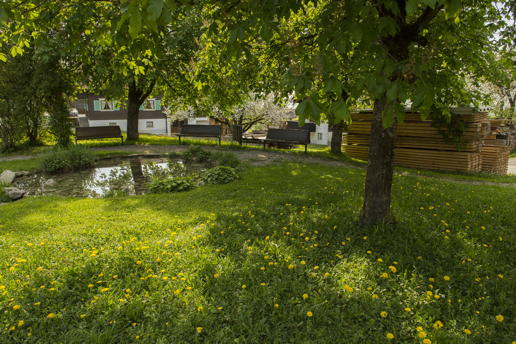 Riefensberg Dorfteich.jpg