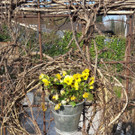 IMG-20200328-WA0001.jpg