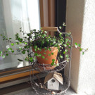 IMG-20200328-WA0012.jpg