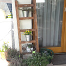 IMG-20200328-WA0014.jpg