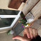 Bitschnau Cedrik _6_.JPG