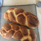 Bolter Benedikt _4_.jpg