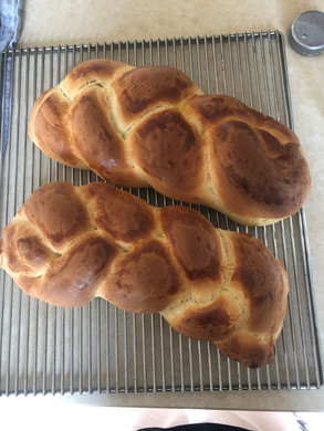 Bolter Benedikt _4_.jpg