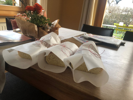 Bolter Benedikt _5_.jpg