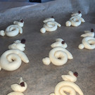 Engstler Raphaela _2_.jpg