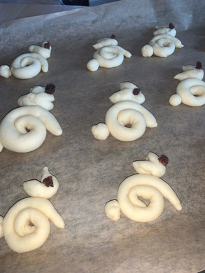 Engstler Raphaela _2_.jpg