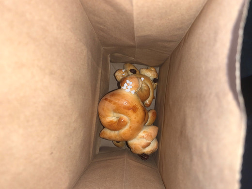 Engstler Raphaela _7_.jpg