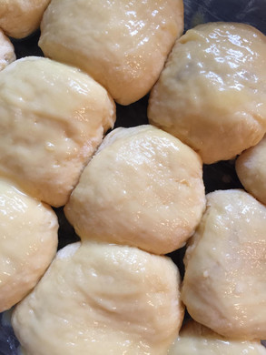 Kiesling Lara _4_.JPG