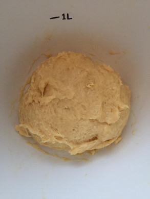 Kiesling Lara 1 _2_.JPG