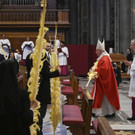 Vatican_Pope_Palm_Sunday_Mass_24141.jpg
