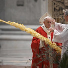 Vatican_Pope_Palm_Sunday_Mass_13123.jpg