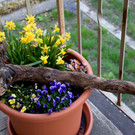 Palmsonntag in Tschagguns