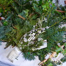 DSC_0490.jpg
