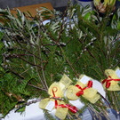 DSC_0496.jpg
