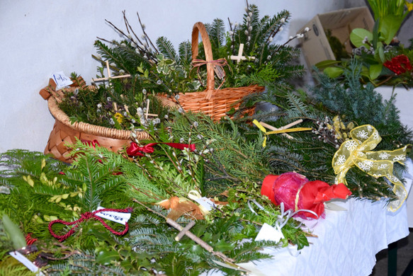 DSC_0504.jpg
