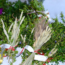 DSC_0519.jpg