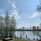 Mann ertrinkt im Alten Rhein