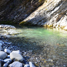 Natur 070420_1.JPG