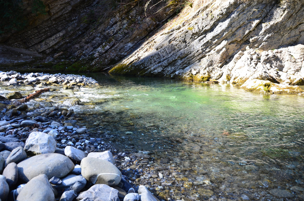 Natur 070420_1.JPG